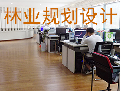 ��ҵ�滮�����