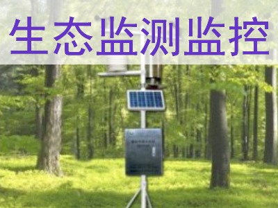 ��̬�������