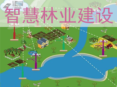 �ǻ���ҵ������