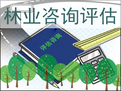 ��ҵ��ѯ������