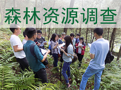 ɭ����Դ������