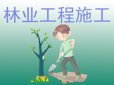 ��ҵ����ʩ��